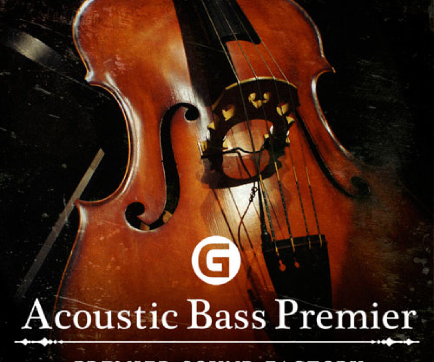 Acoustic Bass Premier G