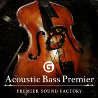 Acoustic Bass Premier G